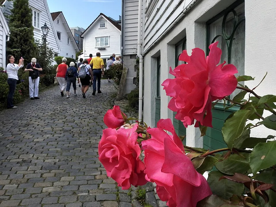A flower-decked lane of white houses