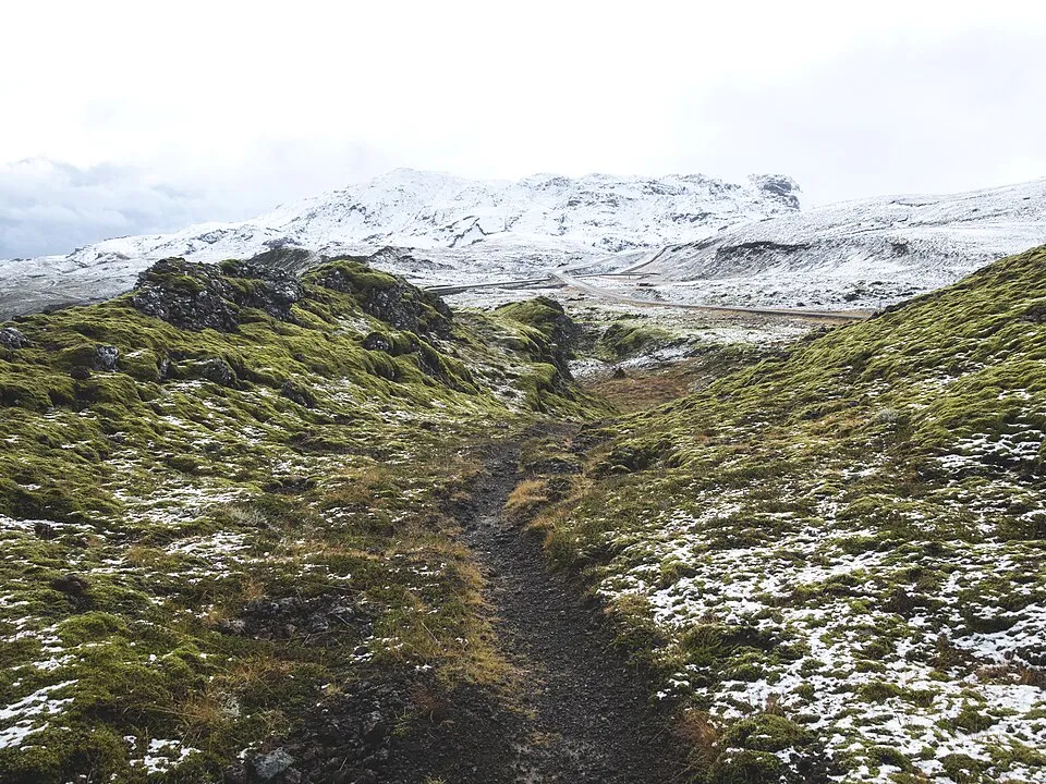 Mossy lava in the Nesjavellir valley