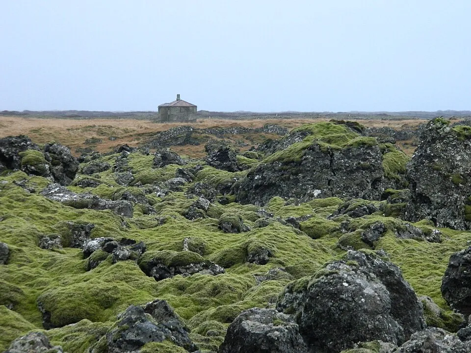 The moss-covered lava country that hides Landbrotalaug