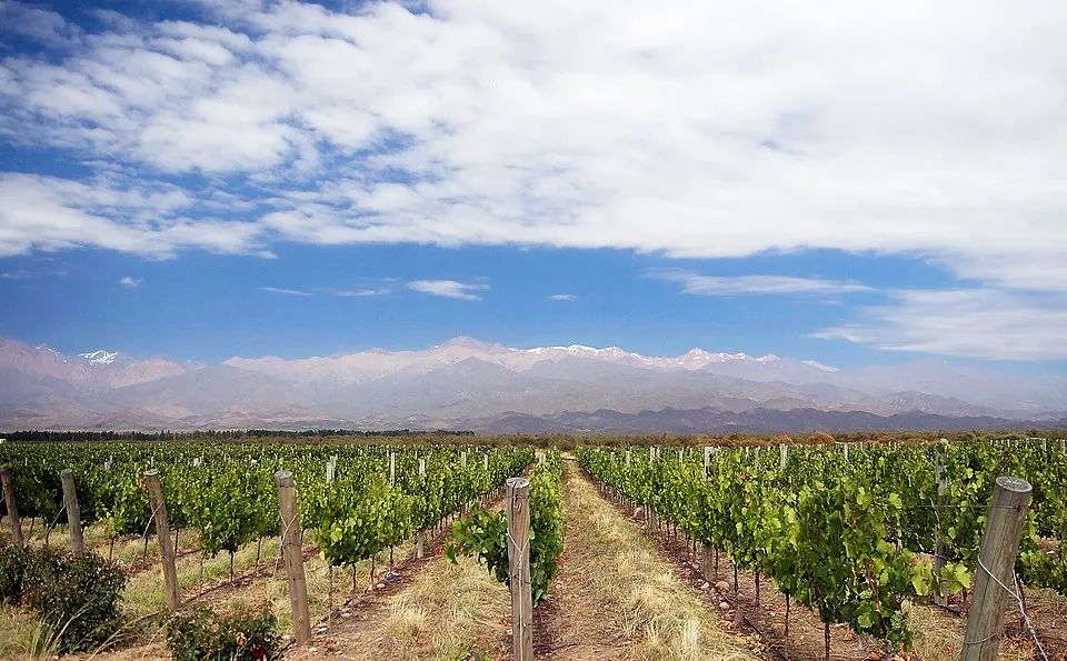 Mendoza — sheet in verification