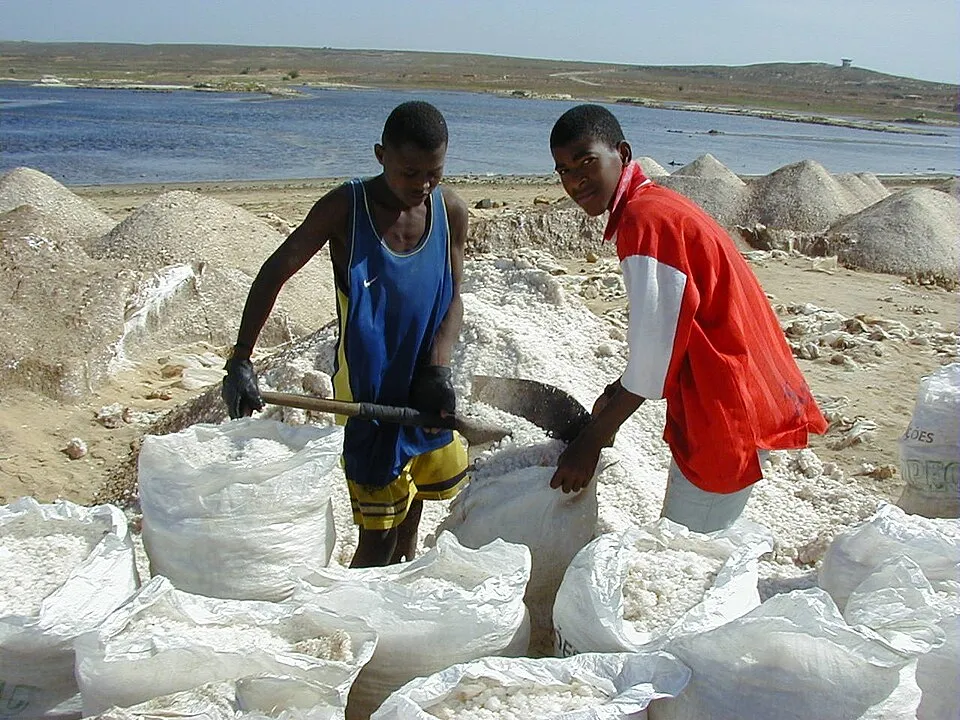 Salt harvesting at the Maio pans